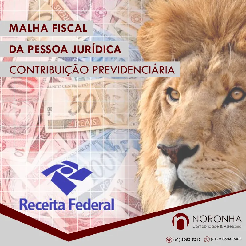 Contador conferindo folha e DCTFWeb para evitar a malha fiscal da contribuição previdenciária